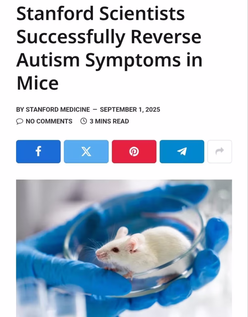 دانشمندان استنفورد با موفقیت علائم اوتیسم را در موش‌ ها معکوس کردند