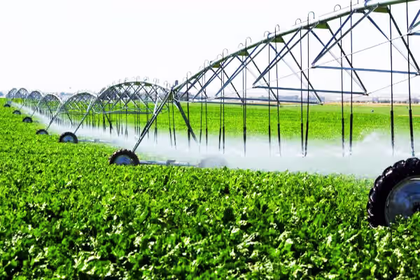 منظور از مدیریت یکپارچه محصولات کشاورزی چیست؟