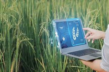 استارتاپ‌ های حوزه امنیت غذایی؛ بازیگران نوظهور در یک مسئله راهبردی