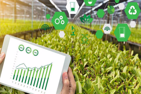 نقش فناوری و نوآوری در تقویت امنیت غذایی: چالش‌ها و فرصت‌ها برای ایران