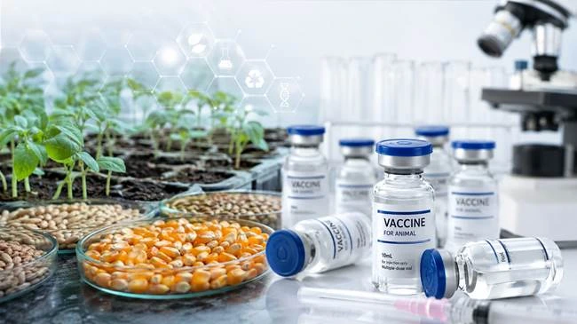 حمایت از توسعه فناوری‌های بومی امنیت غذایی با اجرای دو برنامه ملی